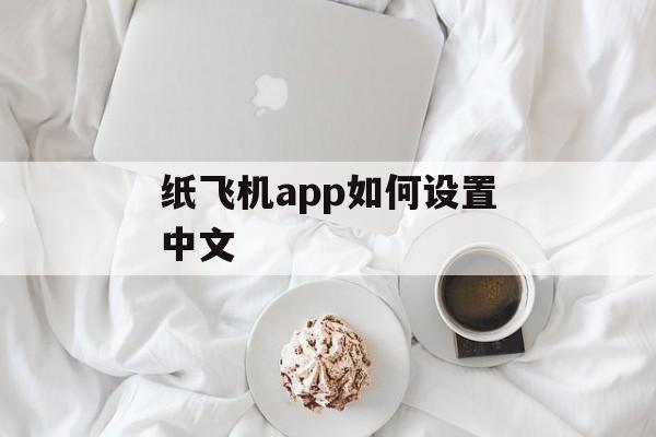 纸飞机app如何设置中文